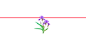 尾部导航栏的LOGO